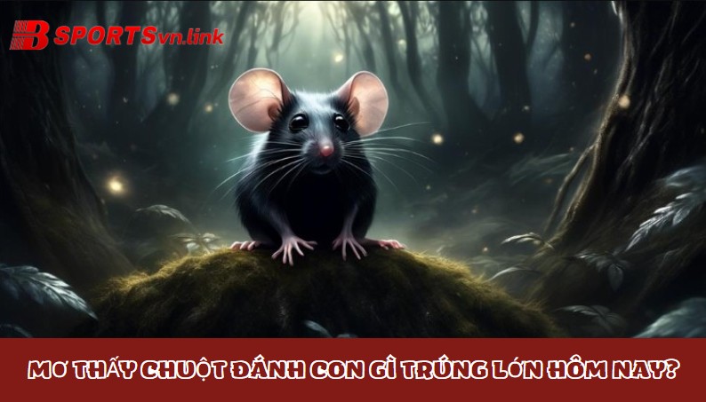 Mơ thấy chuột đánh con gì trúng lớn hôm nay?