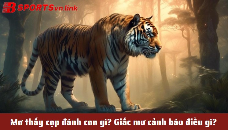 Mơ thấy cọp đánh con gì? Giấc mơ cảnh báo điều gì?